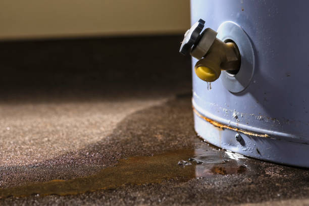 Best Water damage contractors near me  in Sequim, WA