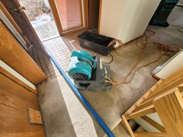Best Flood restoration services  in Sequim, WA