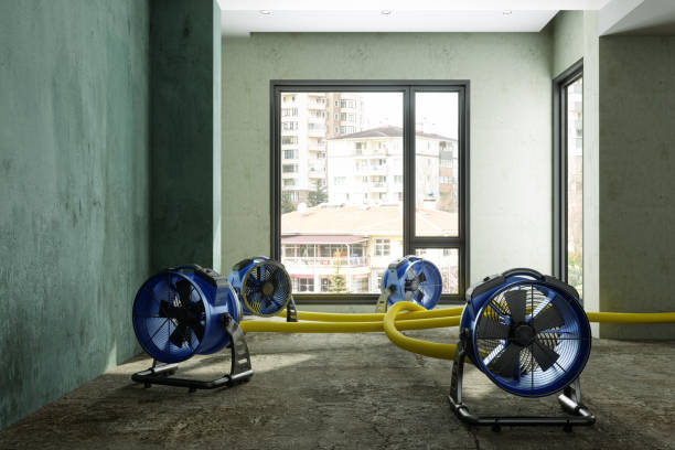 Best 24-hour water damage restoration  in Sequim, WA